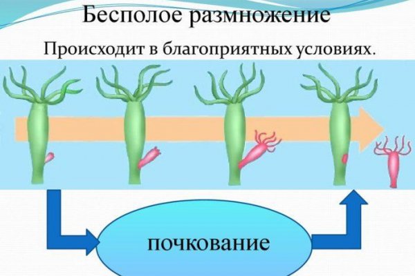 Купить бошки марихуаны